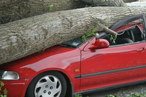 The Importance of Comprehensive Auto Insurance